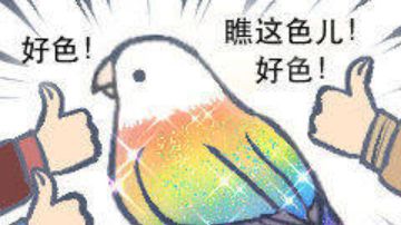 海洋魔王法师炼狱飞升攻略9.3