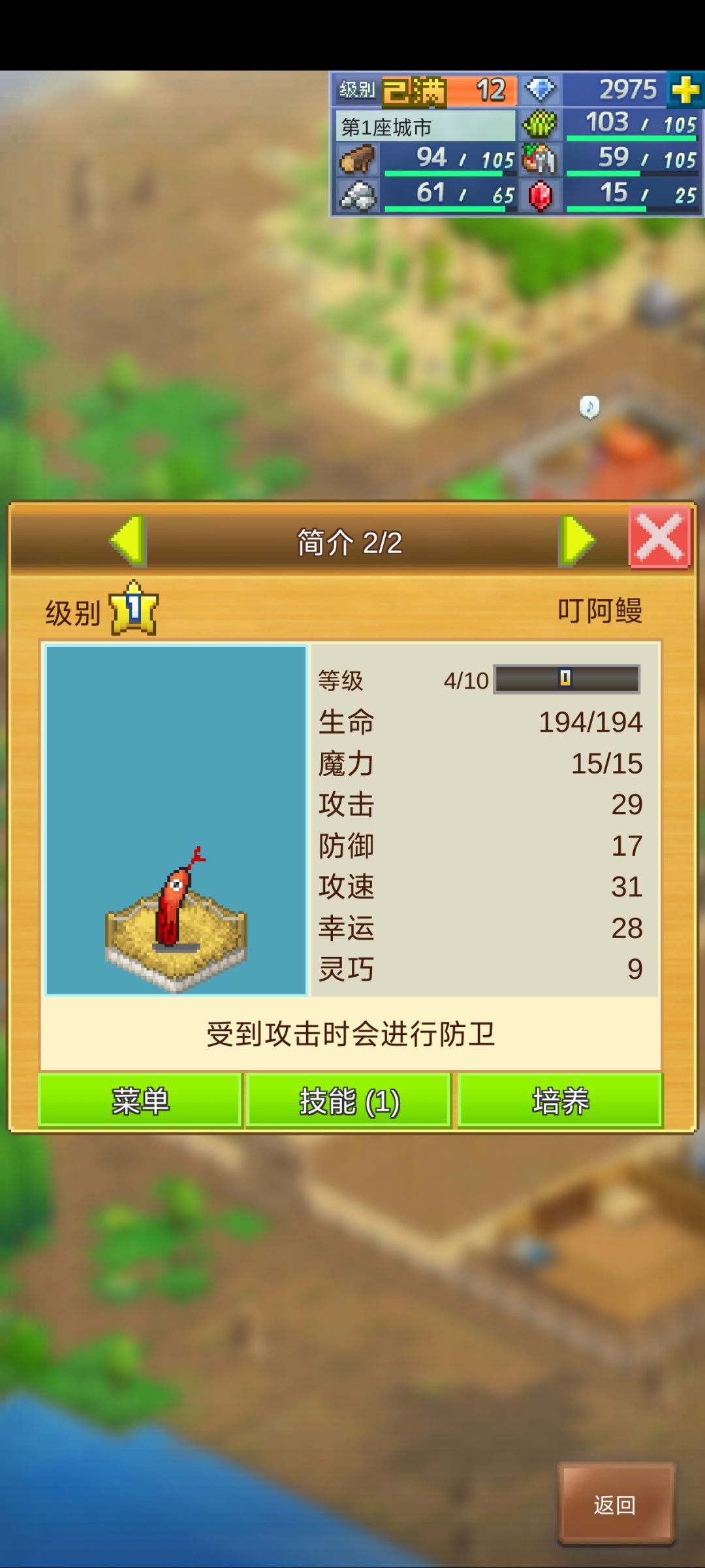 开罗精品宠物 1