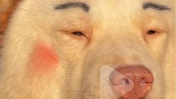 六界召唤师萌新开区扫盲攻略