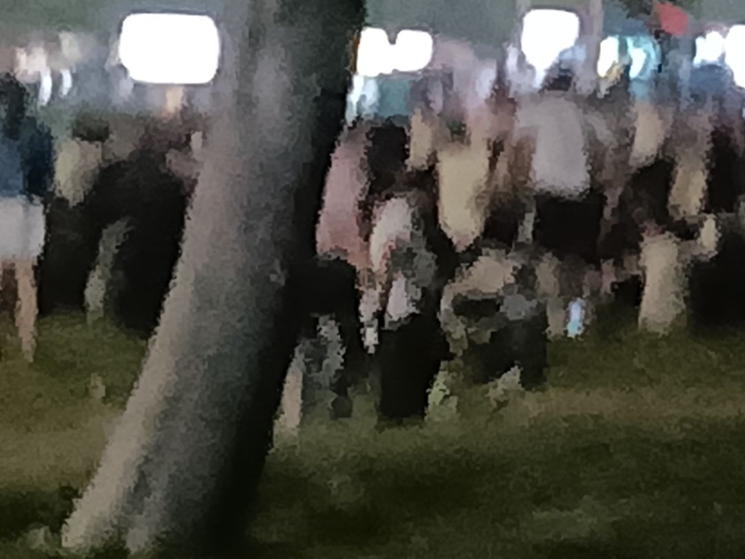 动态图片 14