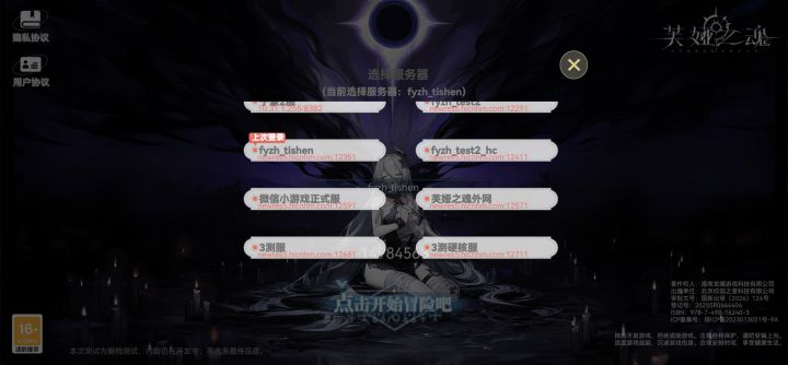 大佬们，选哪个服？截图