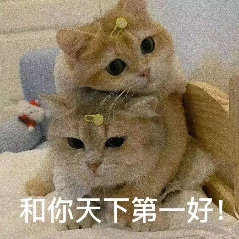 明天要开萝卜牌活动? 1