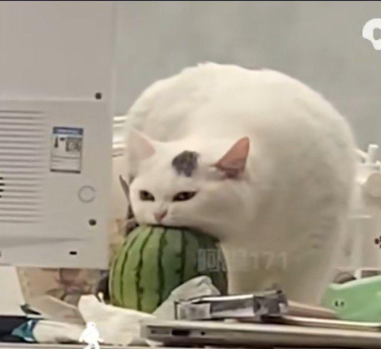 家人们退游了,退游了 1