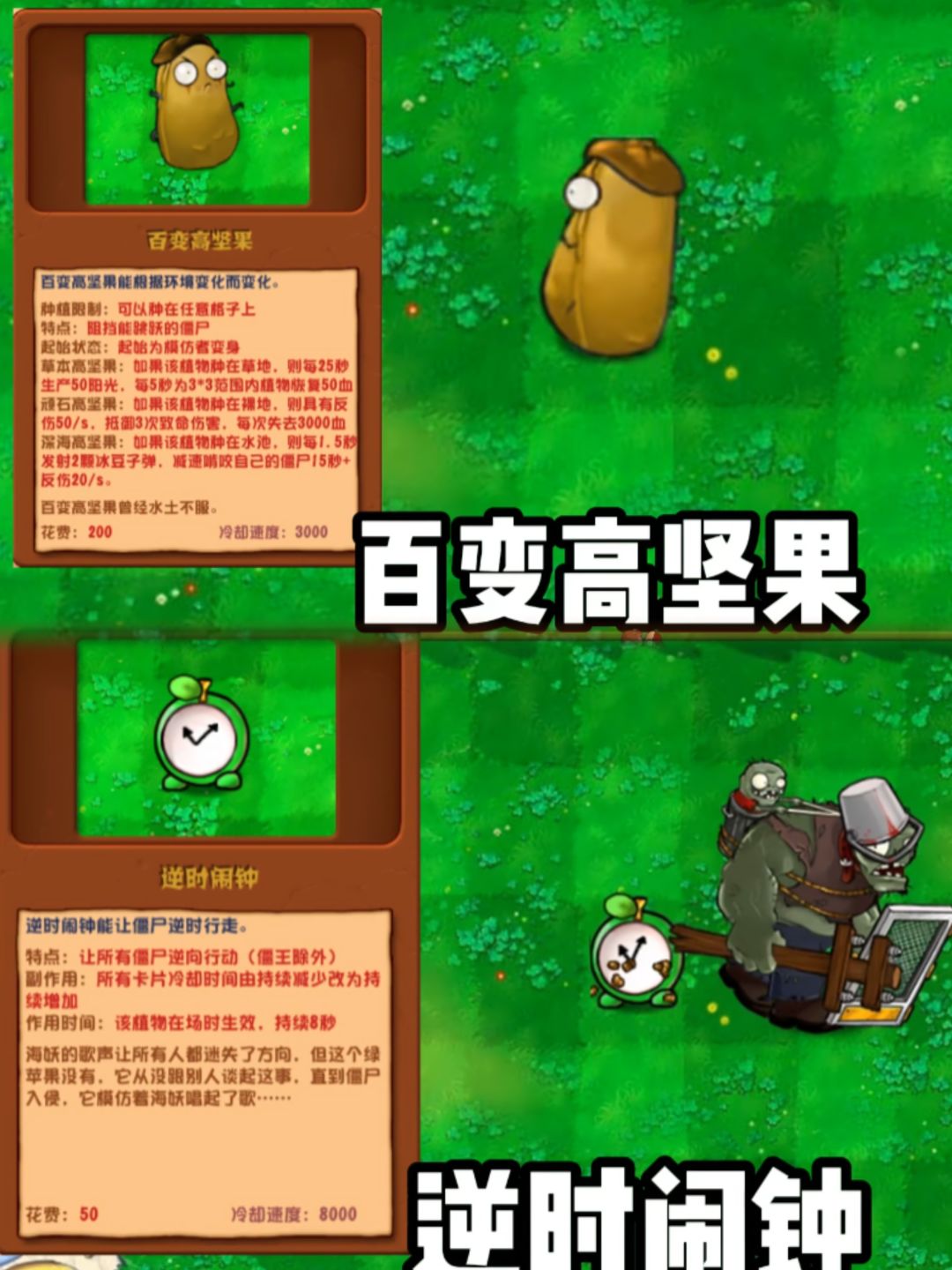 植物大战僵尸杂交版2.4版本来啦 2