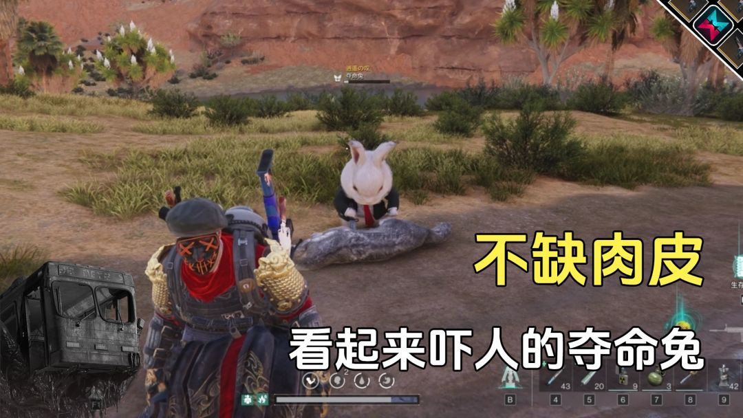 video-4294020