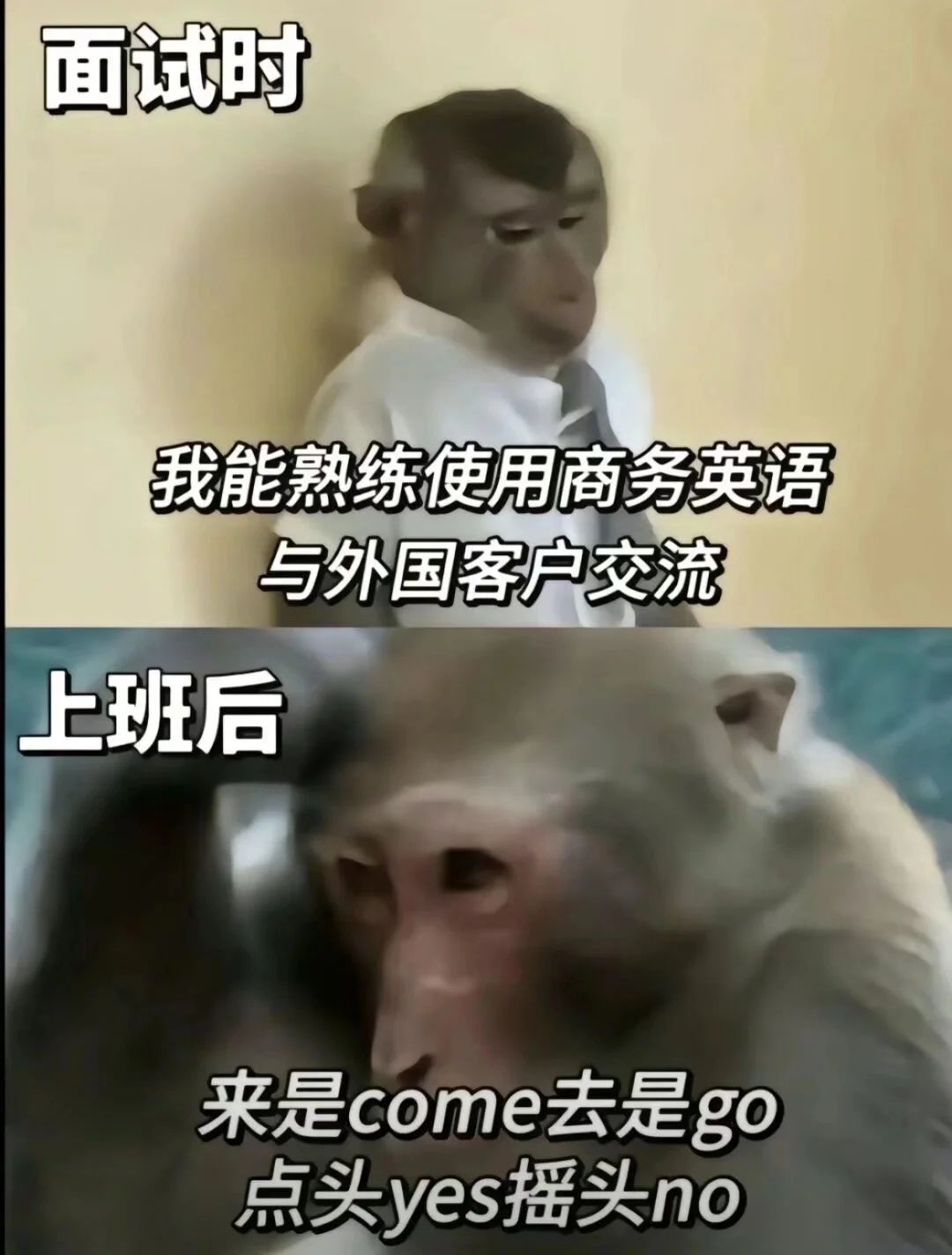 上班后的真实状态🐒 3