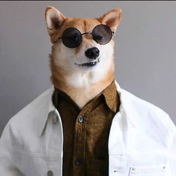 关于托雷请大佬建议