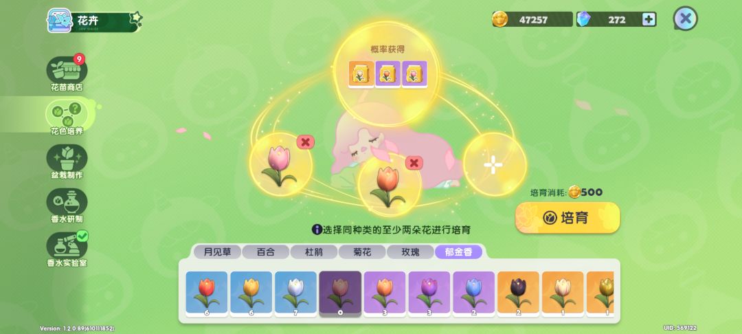 【花卉培养攻略】郁金香 稀有花色合成公式 2