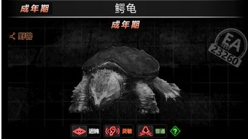 ea宠物任务简略攻略