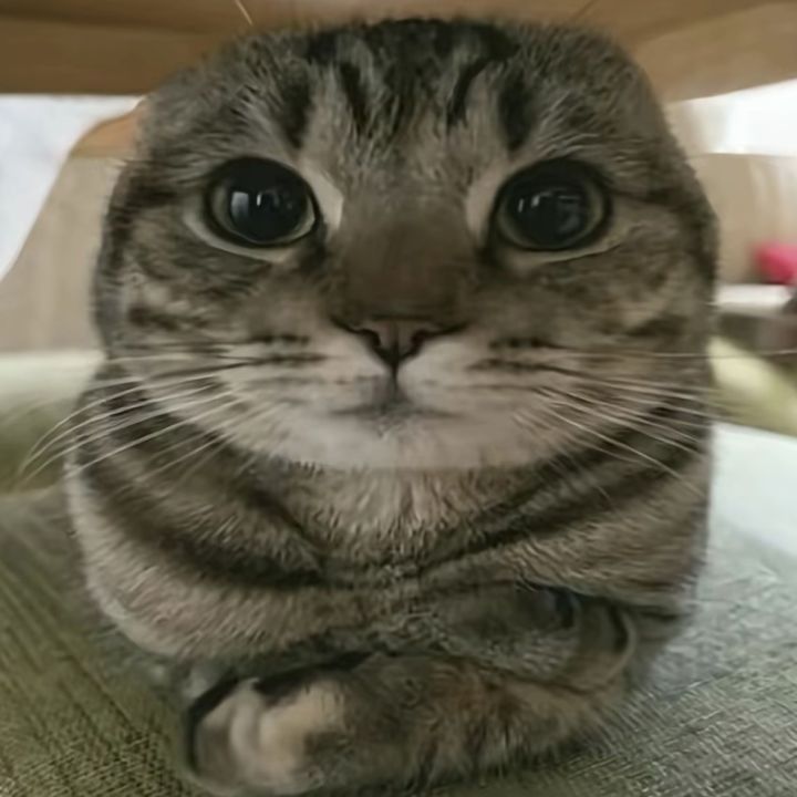 求问截图