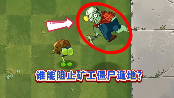15种豌豆大测试:谁能阻止10阶矿工僵尸遁地?截图