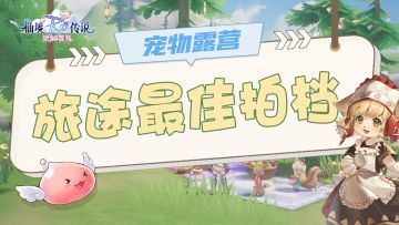 【卡普拉有话说】旅途最佳拍档！哪只宠物是你的pick？