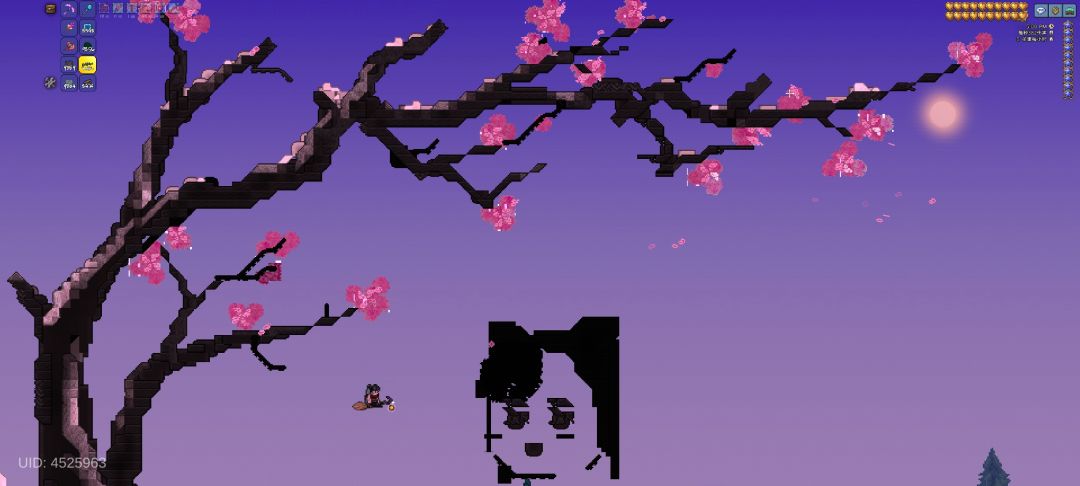 🌸🌸🌸 2