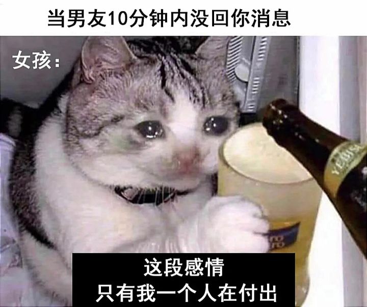校园里不能和男主们叠叠站吗截图