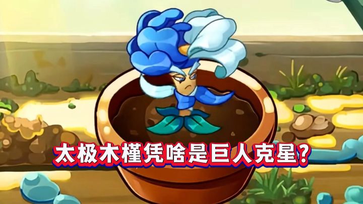 巨人克星!新植物“太极木槿”究竟值不值得入手?截图