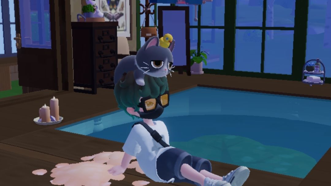 永远爱猫咪老师! 2