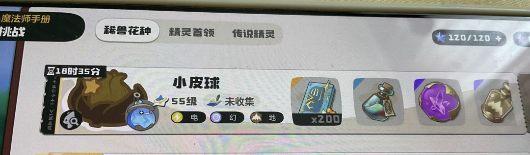 小皮球异色花种 1