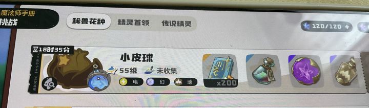 小皮球异色花种截图