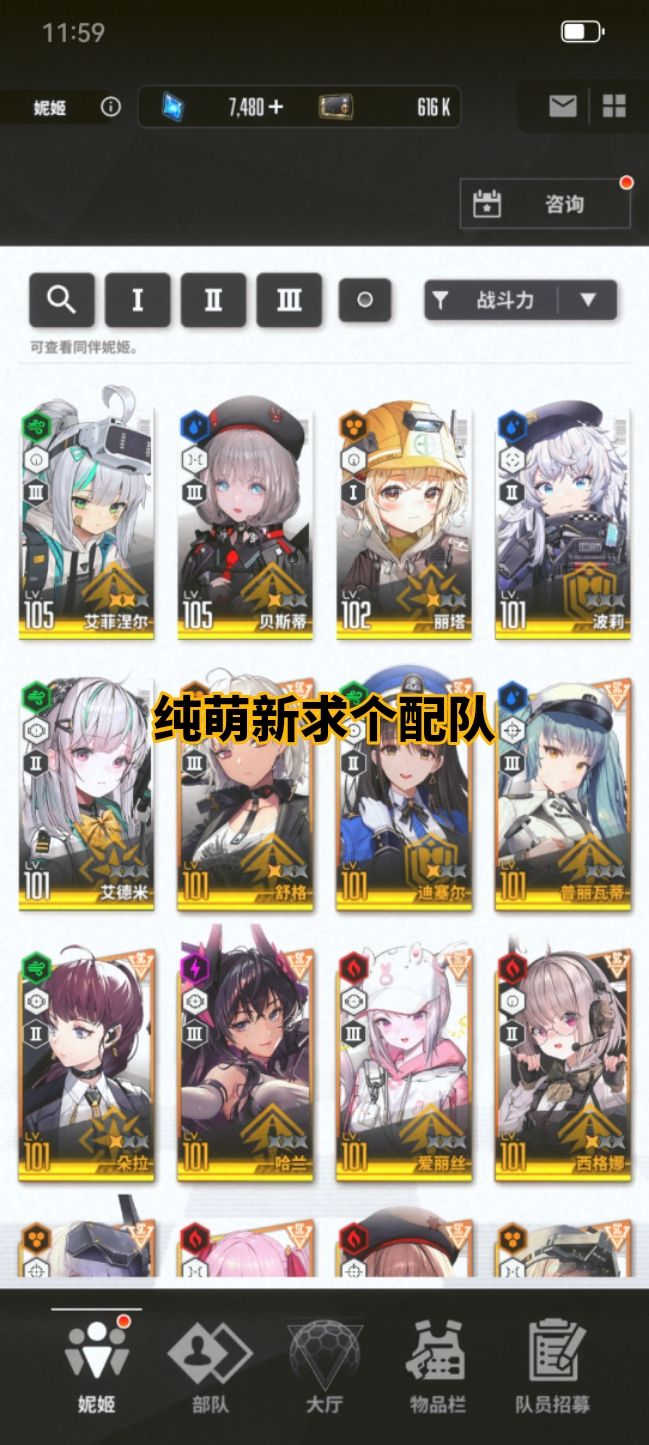 纯萌新求个配队截图