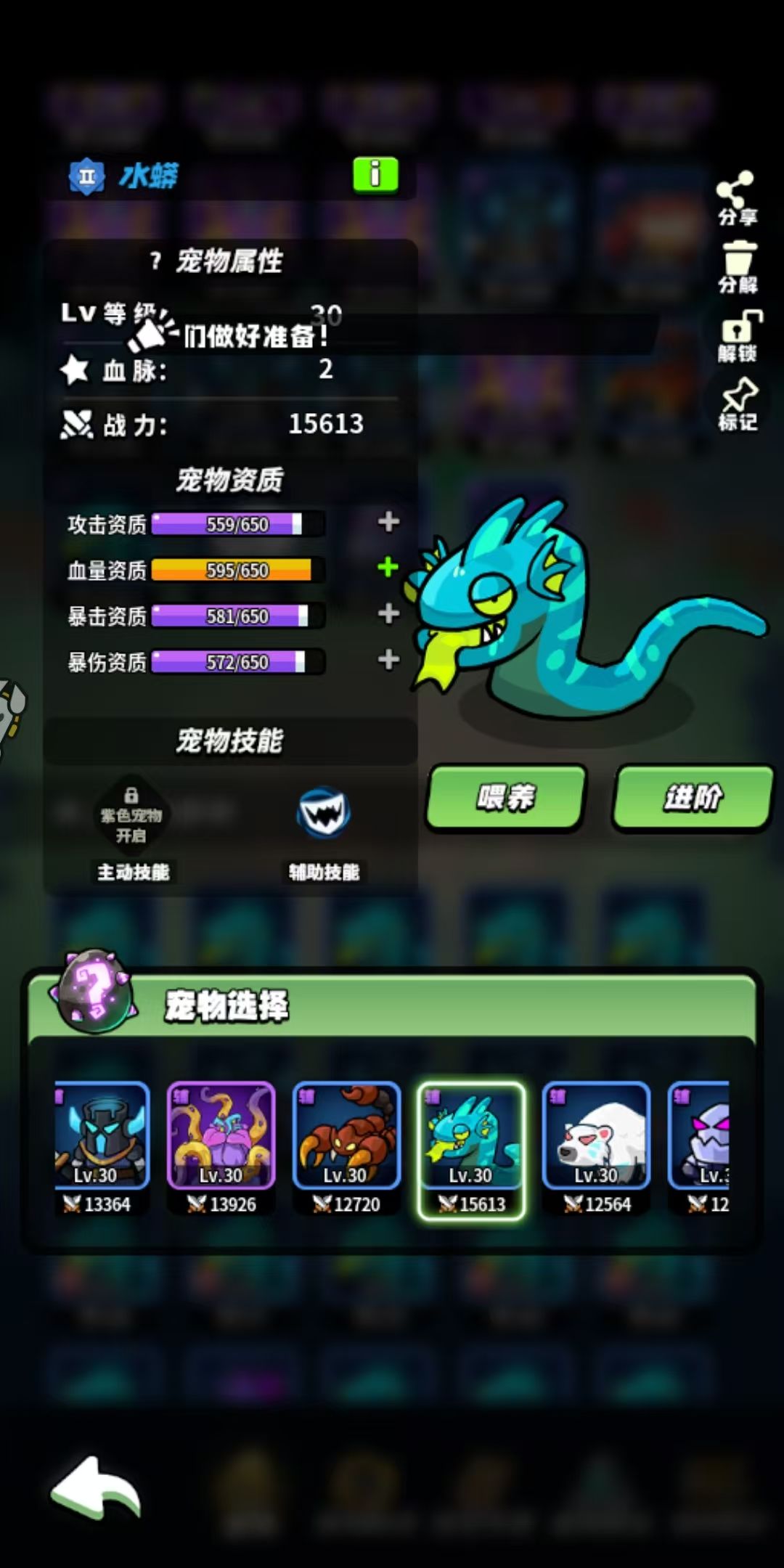 合宠物 1
