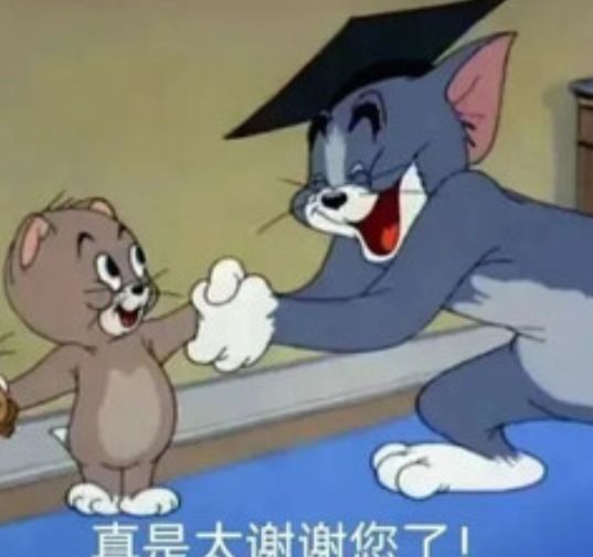 可爱的猫猫 2