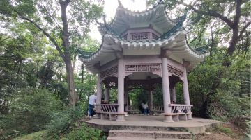 成都董大海支线