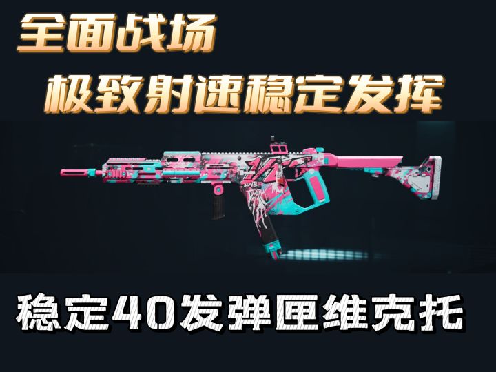 【全面战场】极致射速稳定输出——Vector冲锋枪截图