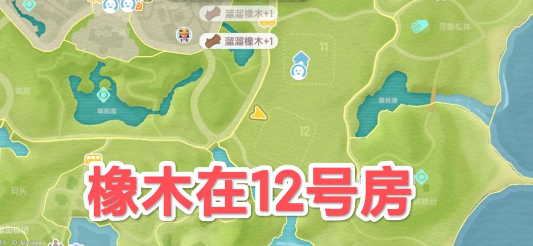 6.25心动小镇萤石溜溜橡木具体位置 2