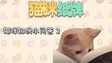 《猫咪纸牌》猫知识小问答 3🐱