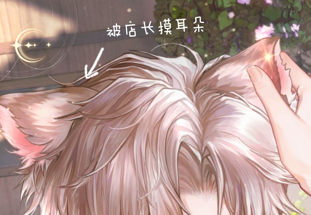 星眠耳朵在不同时候的变化 4