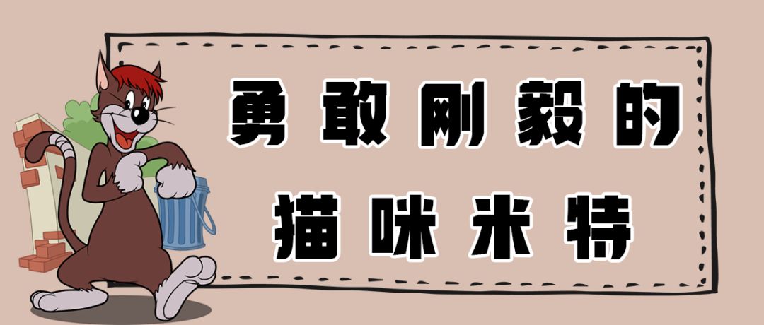 米特动作展示，憨厚可爱的他可是适应能力很强的猫咪哦！截图