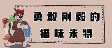米特动作展示，憨厚可爱的他可是适应能力很强的猫咪哦！