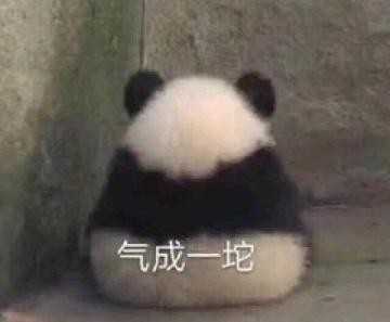 金钞。哈哈哈截图
