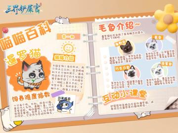 猫咪百科第一期--暹罗猫