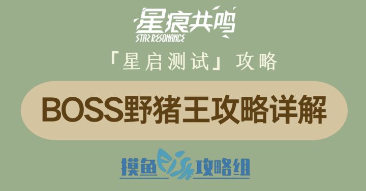【视频创作:星痕共鸣首测攻略】BOSS野猪王攻略详解截图