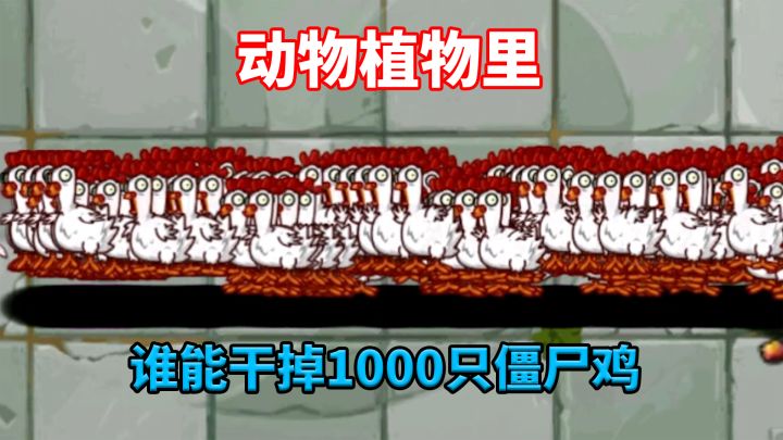 植物大战僵尸2:动物世界挑战1000只僵尸鸡!截图