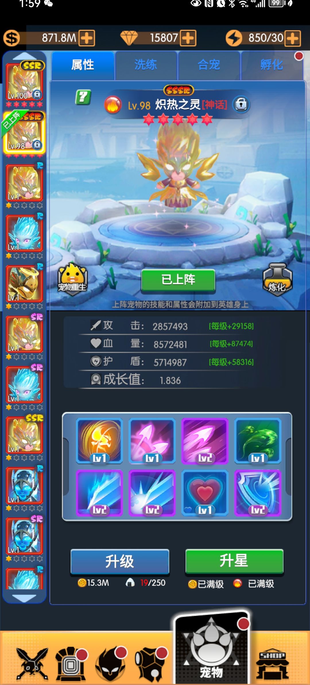 终于在第99天出了八技能宠物 3