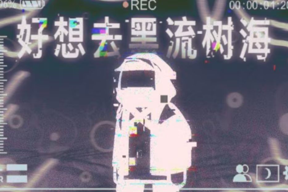 【黑流树海探索指南】截图