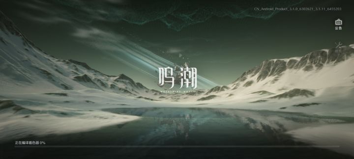 搞不明白了,为什么每次重登录后都这样截图