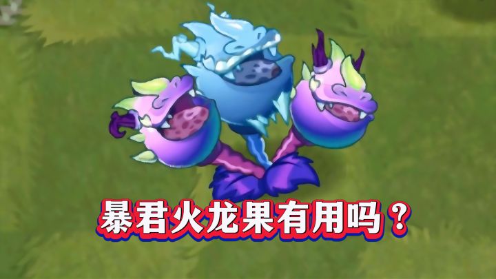 无尽新神?暴君火龙果1-5阶实测截图