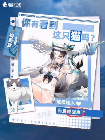 🐾寻猫启事：你有看到布偶猫吗？