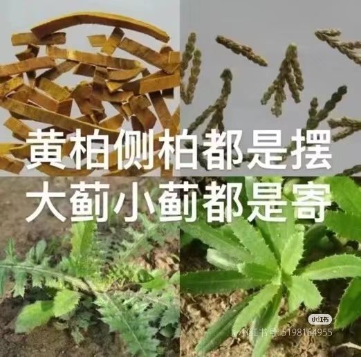 游戏荒了，还推荐入坑吗截图