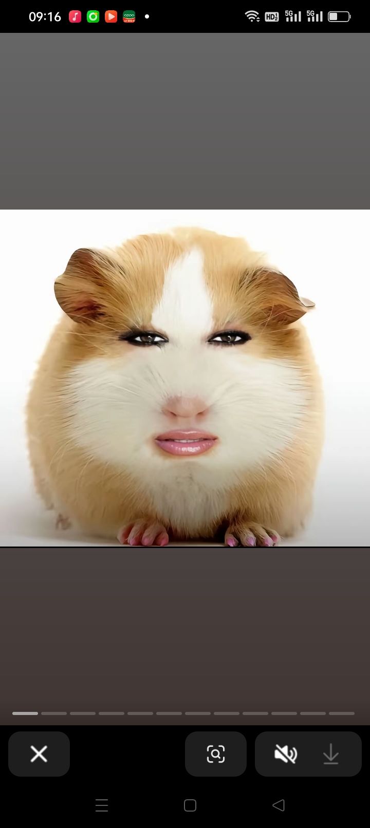 动态图片 17