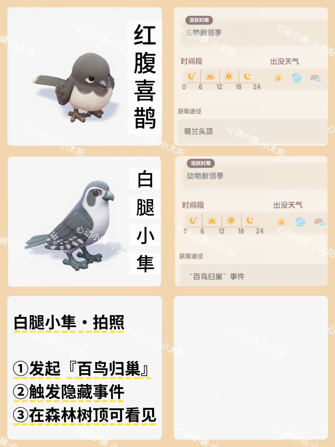 心动小镇·动物新邻季·潮流鸟类和虫类位置 3