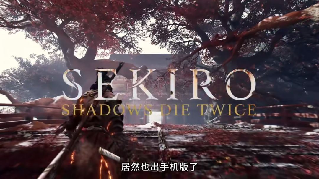 《只狼:影逝二度年度版》 2