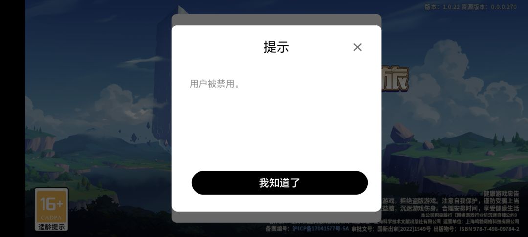 什么个意思 1