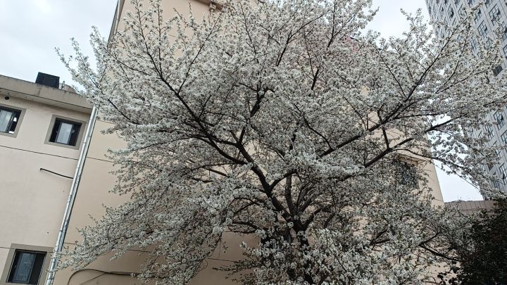 来个佬送号玩玩截图