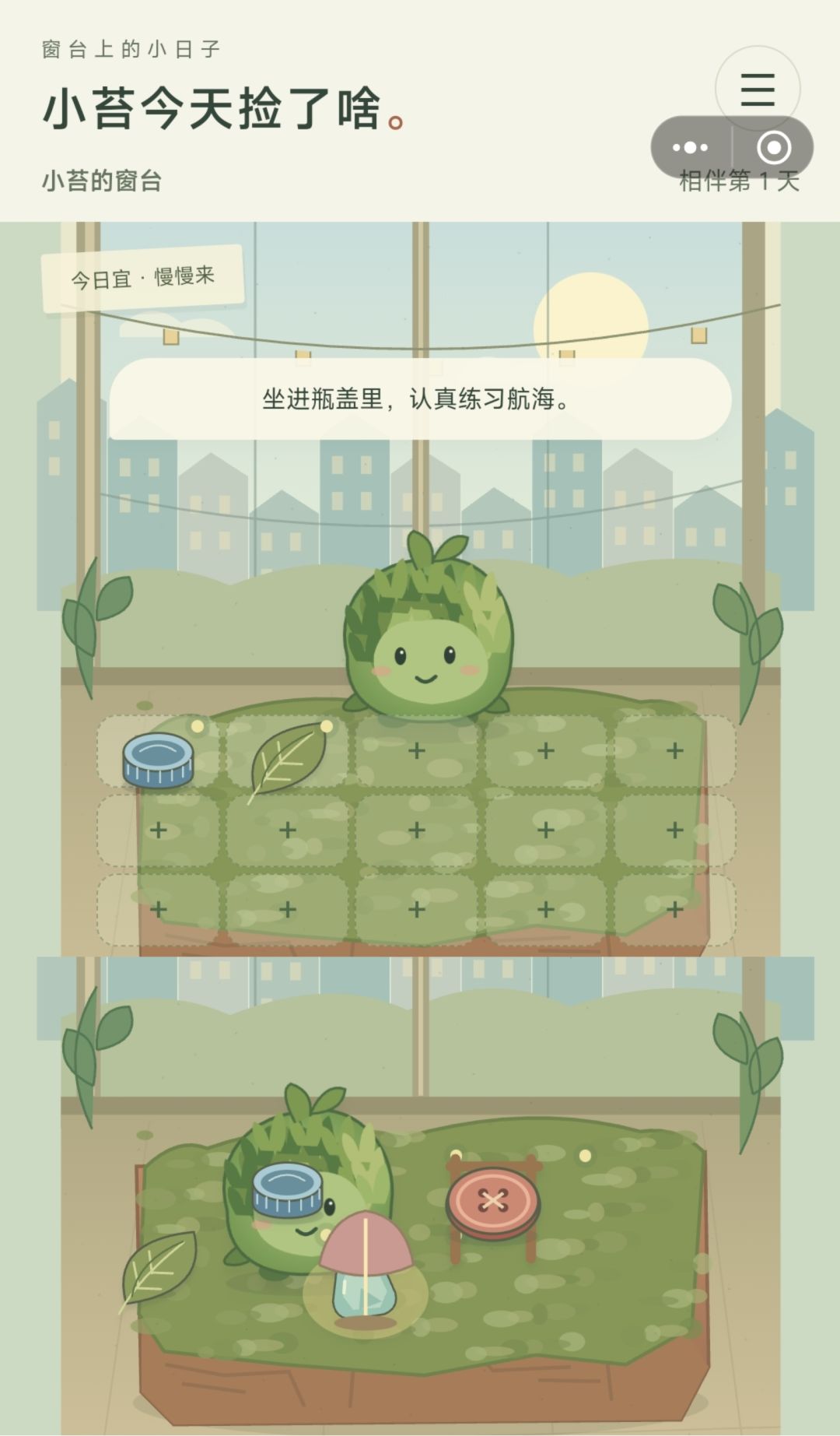 《小苔今天捡了啥》|看看我给你带啥回来了 1
