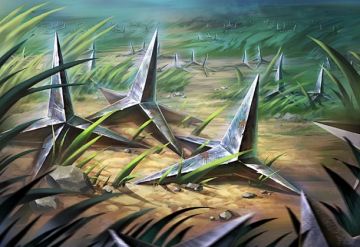 器械-陷坑、地刺