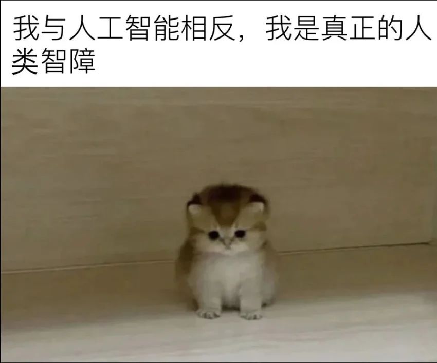 今日份梗图分享 1